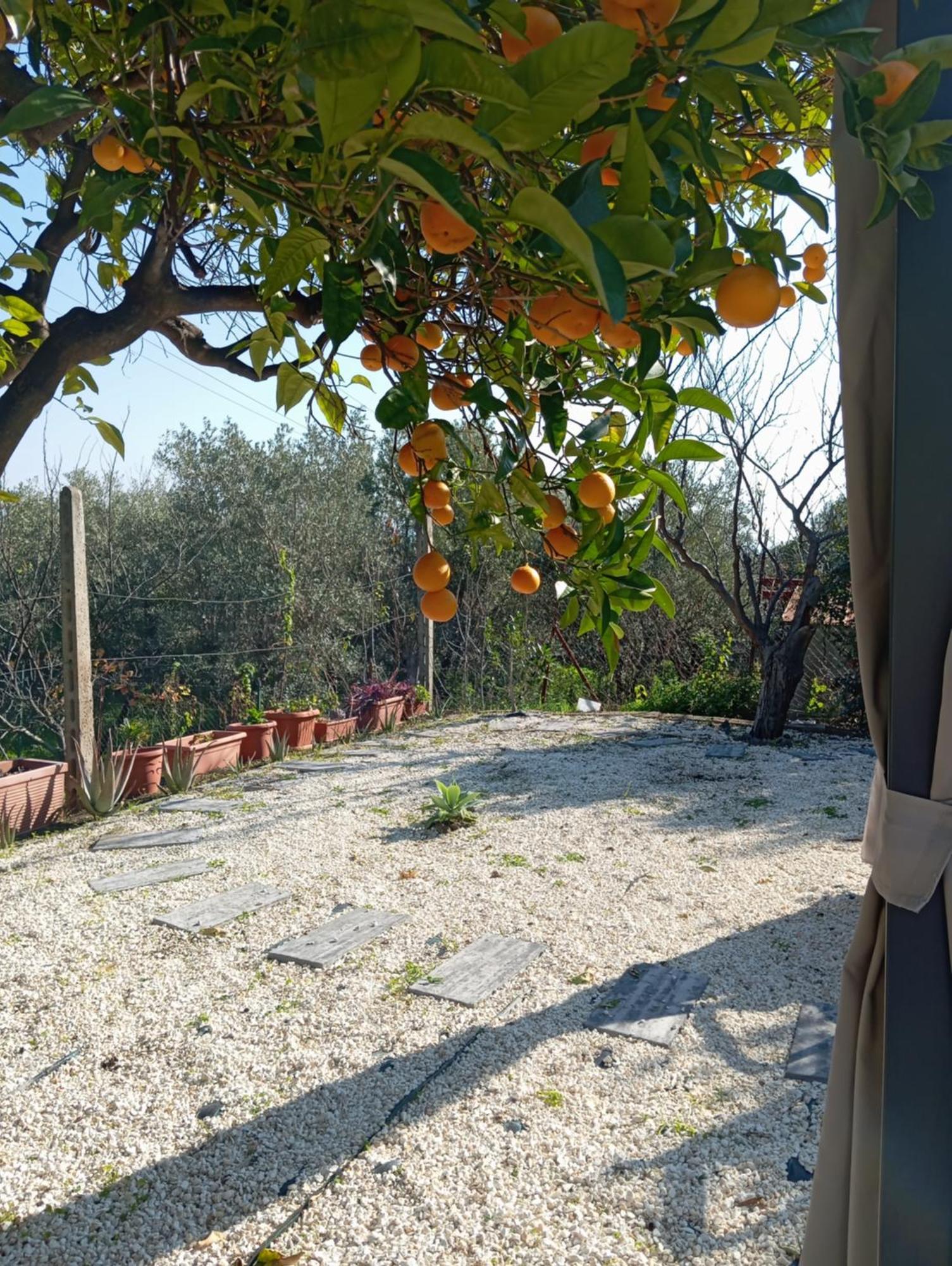 Vila Ai Tre Desideri La Casita Aci Castello Exteriér fotografie